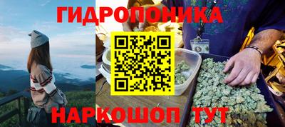 шишки Пенза