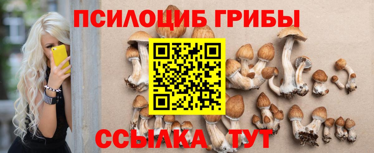 Саранск  Галлюциногенные грибы Psilocybe  Вход с VPN 