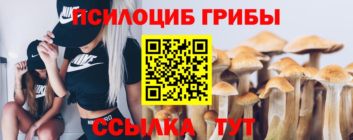 Галлюциногенные грибы Psilocybe Саранск